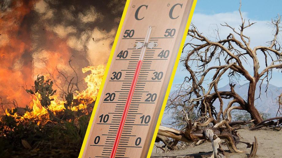 В Ростовской области ожидается аномальная жара до +41