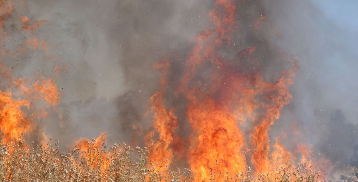 Штормовое предупреждение: чрезвычайная пожароопасность ожидается на Дону в ближайшие дни