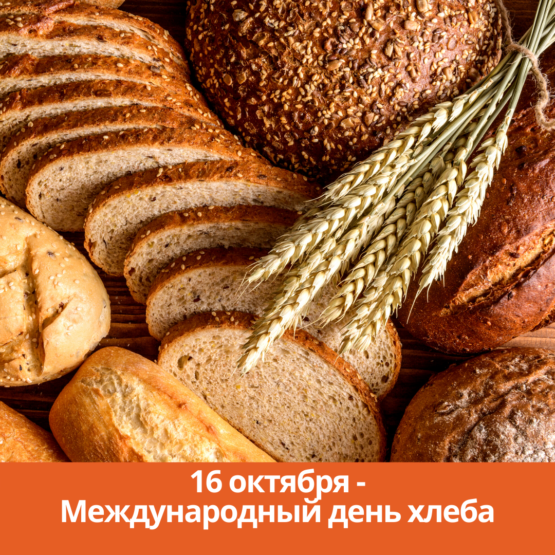 16 октября — Международный день хлеба