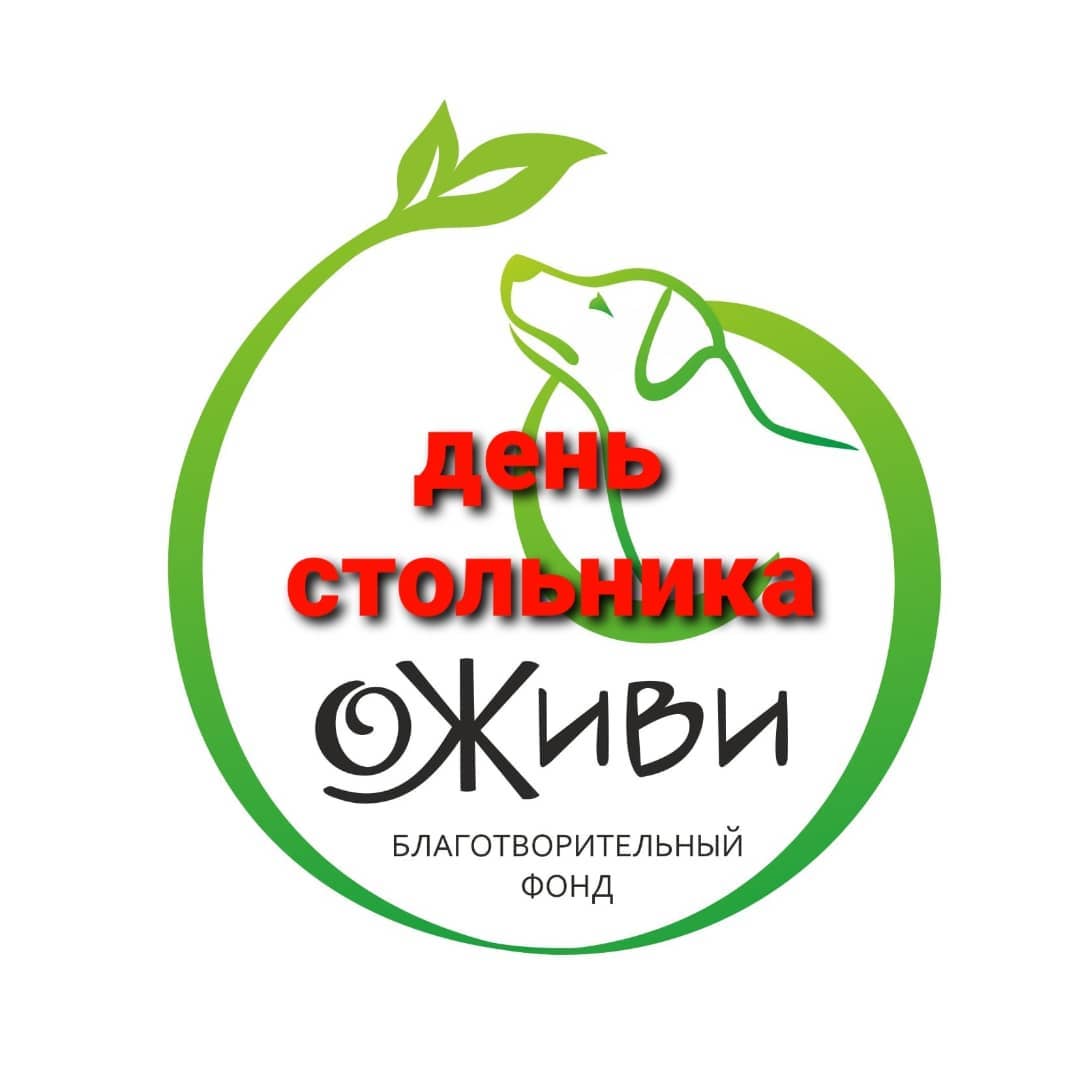 Каменский благотворительный фонд «Оживи» объявляет «День стольника»