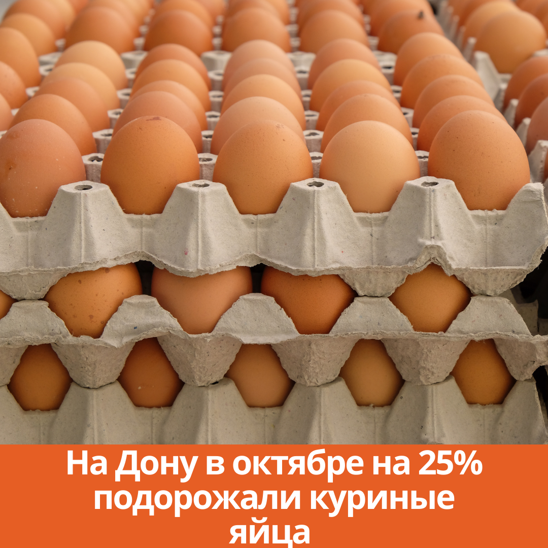 На Дону в октябре на 25% подорожали куриные яйца