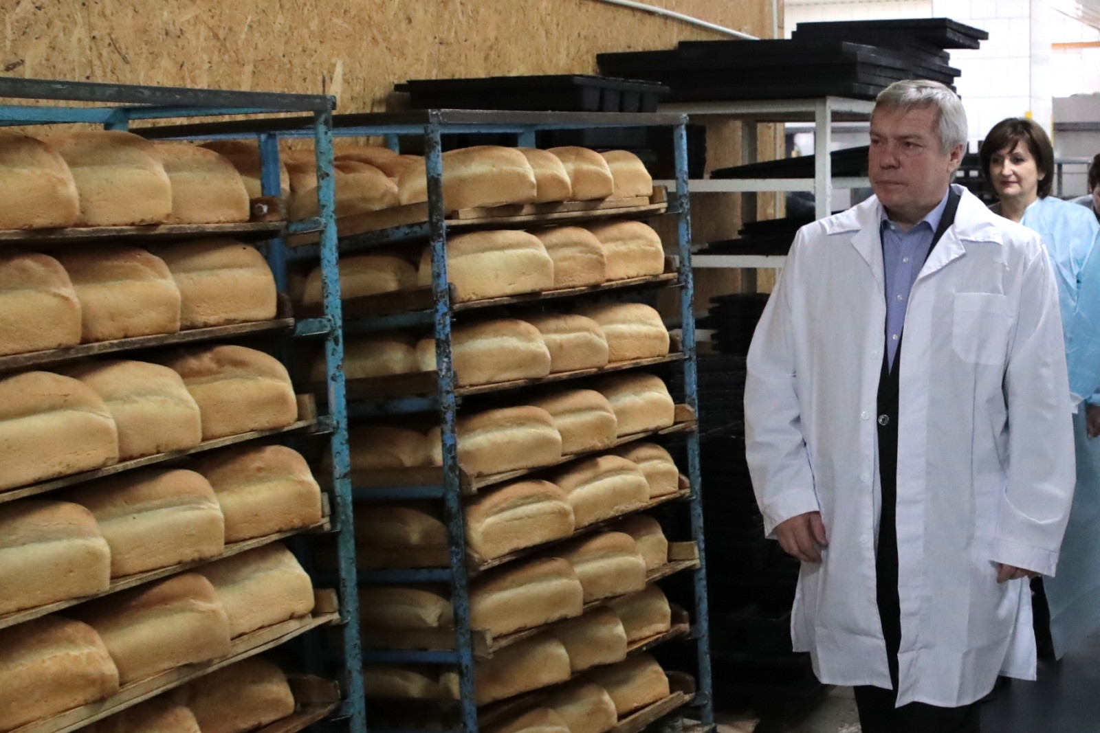 На Дону планируют создать резервный фонд зерна, чтобы зафиксировать цену на хлеб