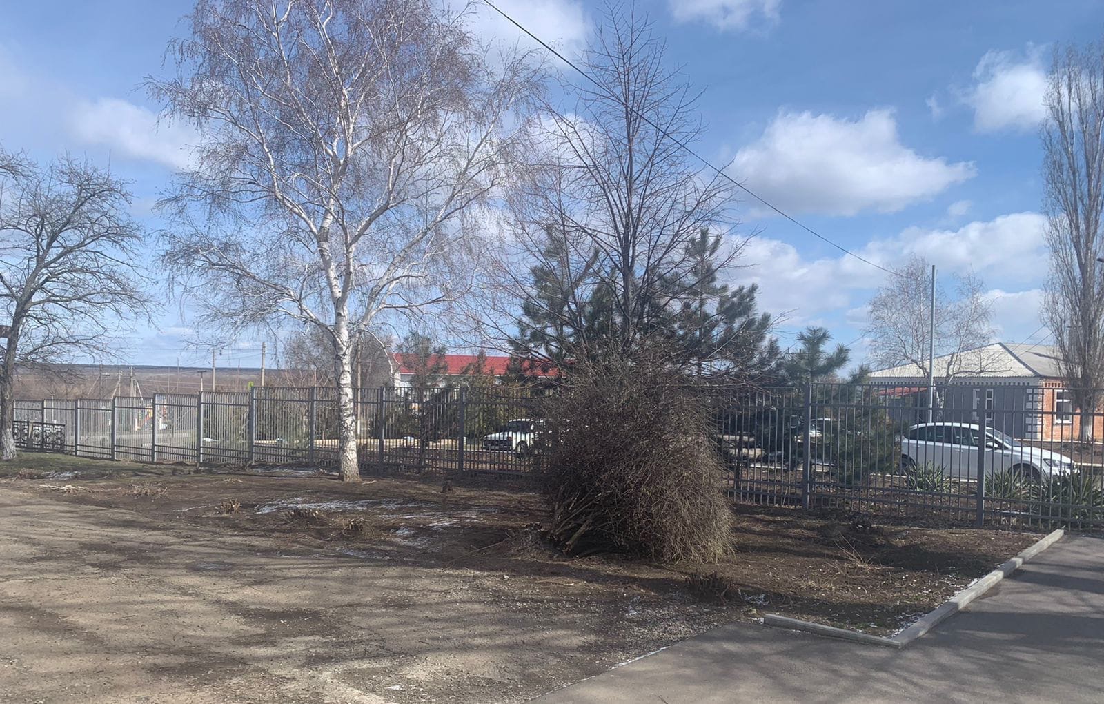 В Малокаменской школе вырубили кусты и деревья