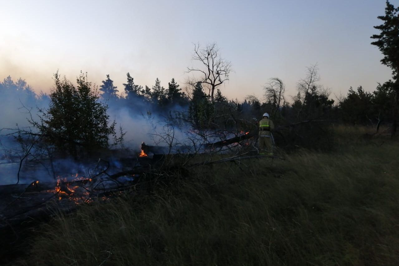 Лесной пожар в Каменском районе удалось локализовать