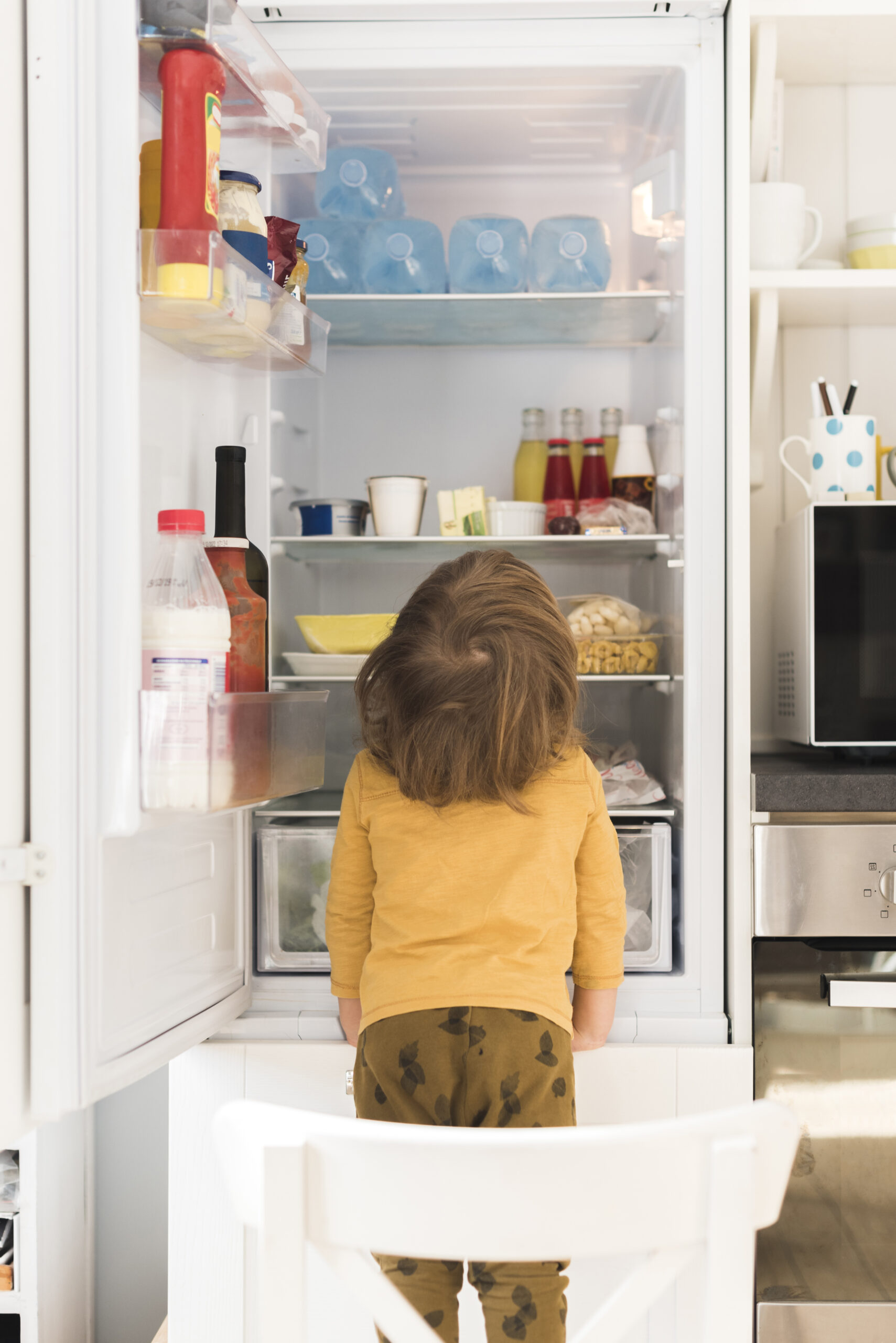 8 августа – День рождения холодильника