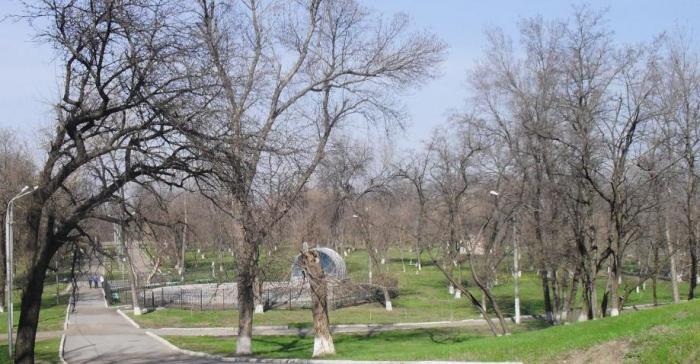Жителям Каменска-Шахтинского рекомендуют не посещать парк имени Маяковского