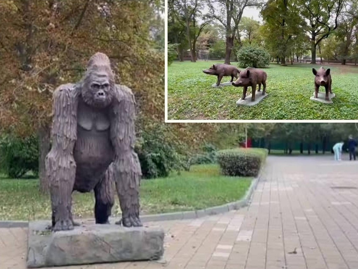 Основатель парка «Лога» подарил Ростовскому зоопарку гориллу и диких кабанов