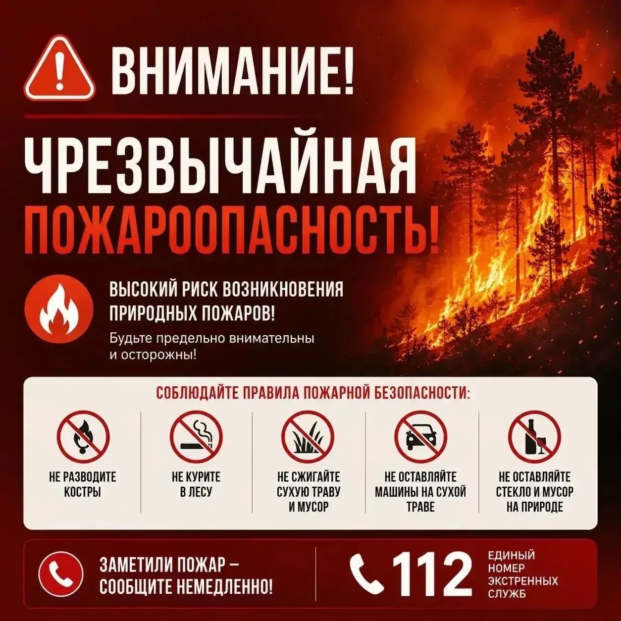 Каменск-Шахтинский и Каменский район- пожароопасность – 5 класс