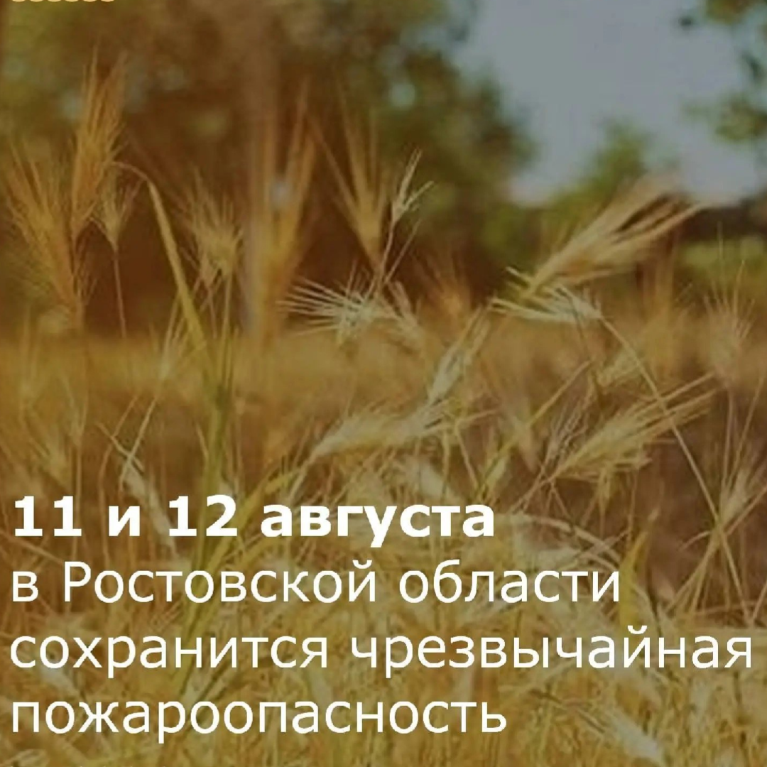 Каменск и район, ожидается высокая пожароопасность
