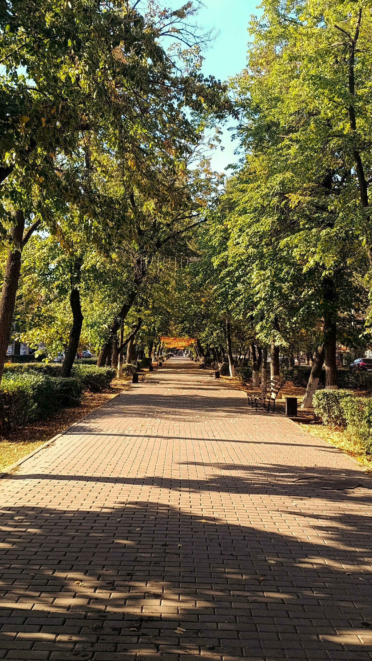В Каменск вновь вернётся тепло — температура воздуха достигнет +20 градусов.
